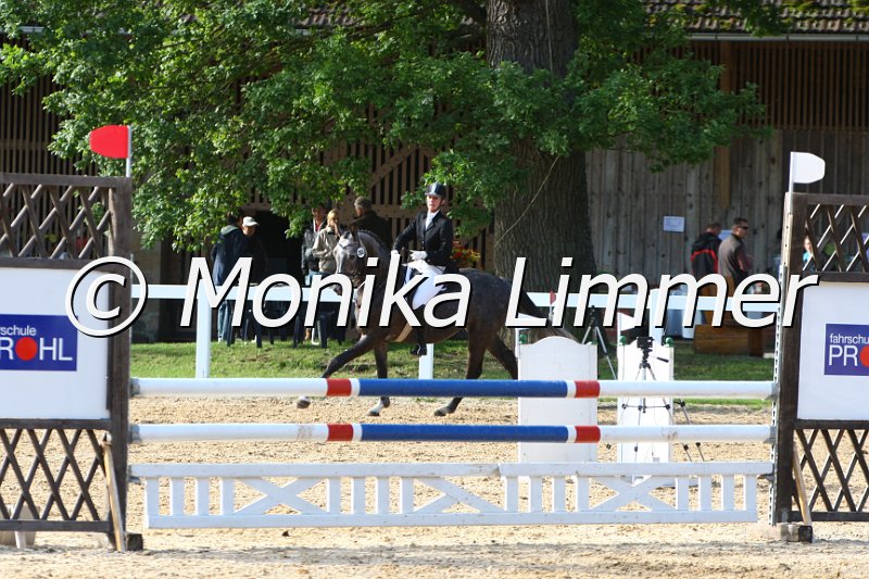 006M6333_Rebel_Springpferde A.JPG